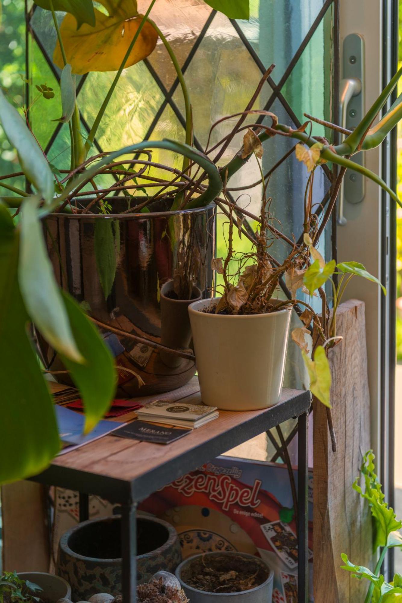 Tiny House - Leenfietsen, Eigen Keuken En Badkamer Неймеген Экстерьер фото